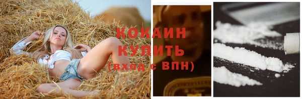 сатива Дмитров