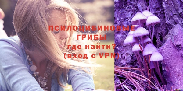 хмурый Дмитриев
