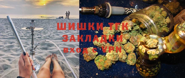 хмурый Дмитриев