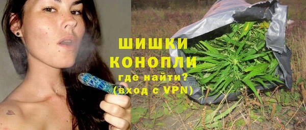 сатива Дмитров