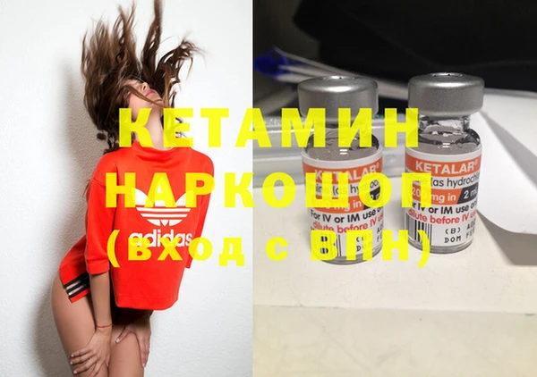 сатива Дмитров