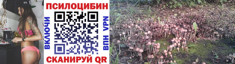 Псилоцибиновые грибы Psilocybe  купить наркотик  мега онион  Новомосковск 